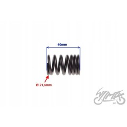 Large valve spring shineray xy125 10d motogeneric