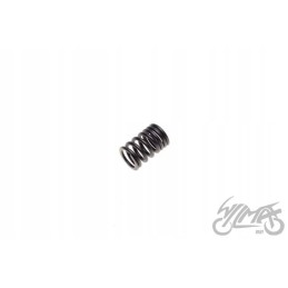 Large valve spring shineray xy125 10d motogeneric