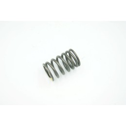 Valve spring external AC50 14751 LBA8 C10