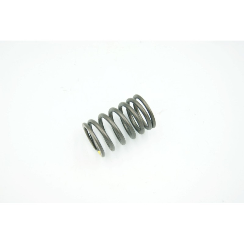 Valve spring external AC50 14751 LBA8 C10