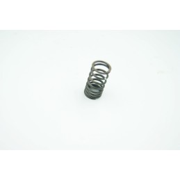 Internal valve spring 14761 kbf 9000
