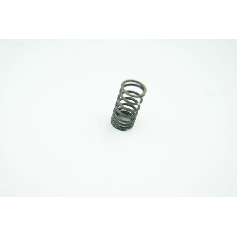 Internal valve spring 14761 kbf 9000
