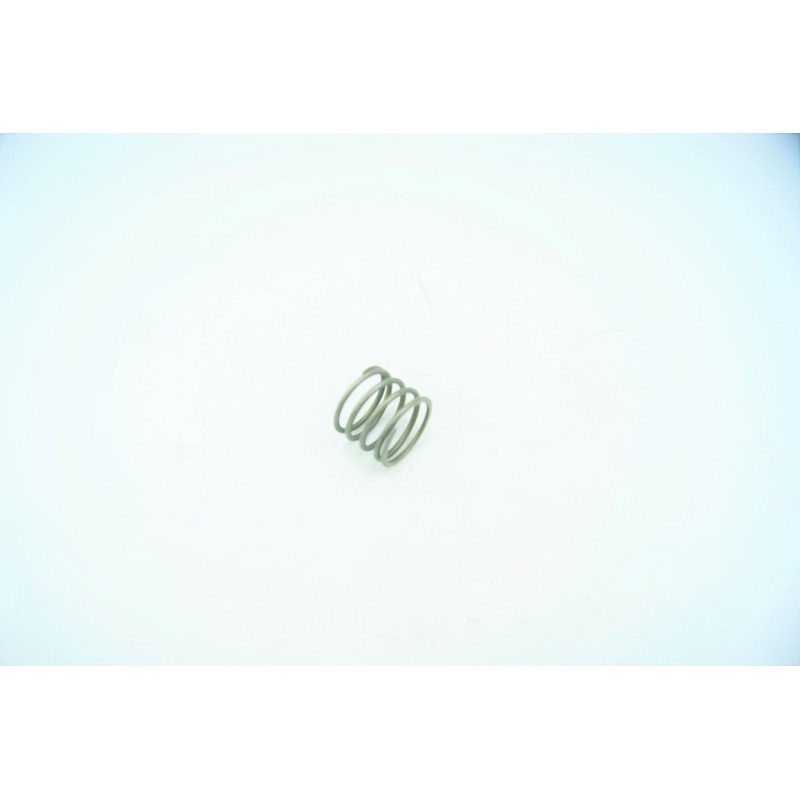 Gear shift plate spring 24631 1g07 001