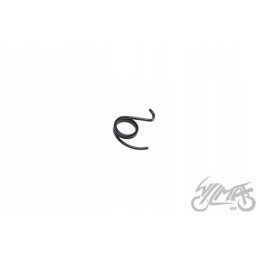 Motogeneric gear shift pawl spring