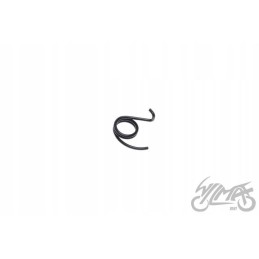 Motogeneric gear shift pawl spring