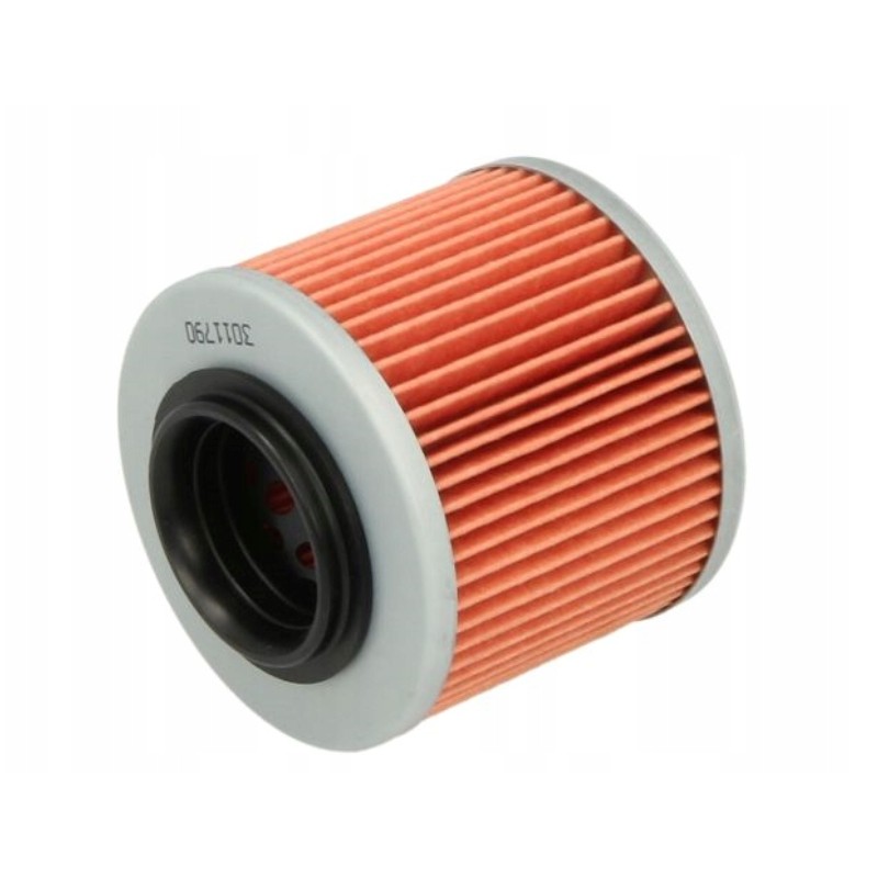 Oil filter suzuki an 650 2002 hf975