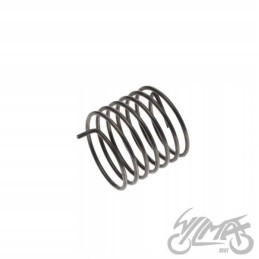 Starter spring mz250 motogeneric