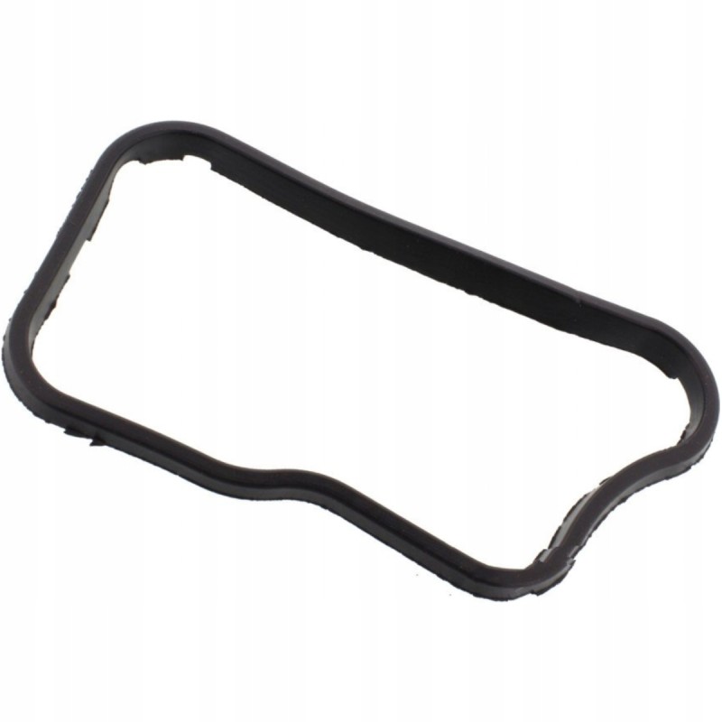 Air filter housing gasket 7510279