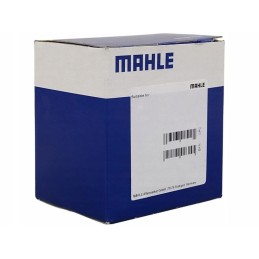 BMW Ducati fuel filter