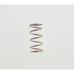 Spring w1711 300 9901