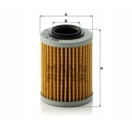 Aprilia moto oil filter