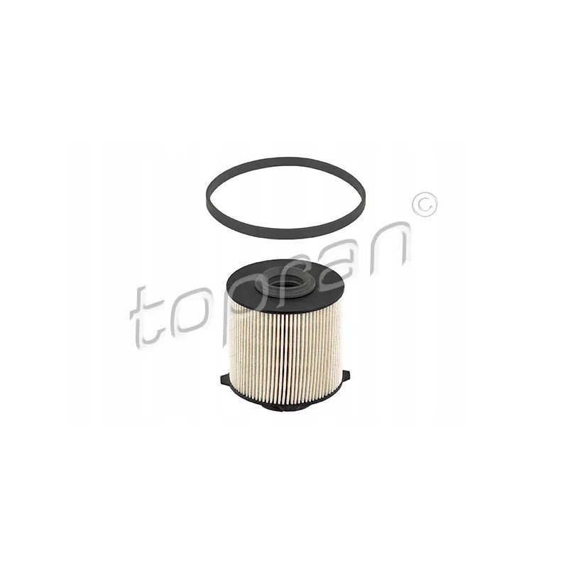 207 725 top fuel filter
