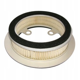 Miw meiwa air filter yamaha xp 500 t max 01