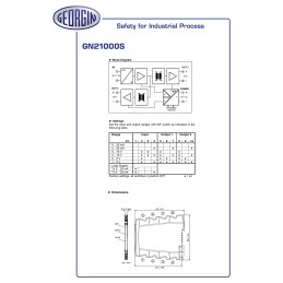 1 Box of 1 - GEORGIN GN 21000 Series Repeater, Current, Voltage Input, Analogue Output