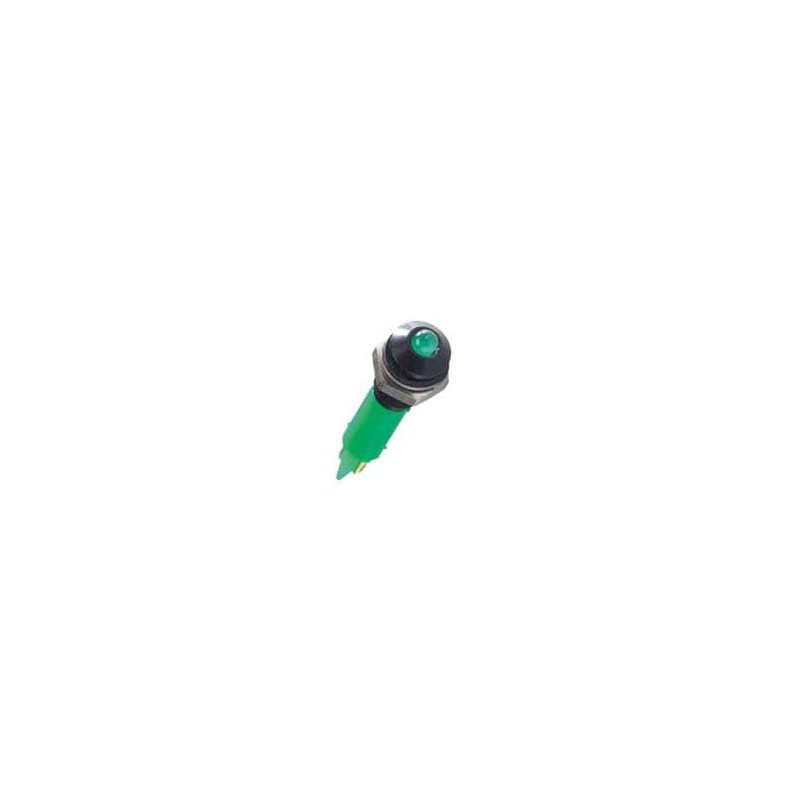 1 pcs : Q6P3BXXG24E - LED Panel Mount Indicators Green LED 24VDC 6mm Wire IP67