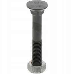 Loose screws with nut