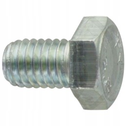 Hex head screw