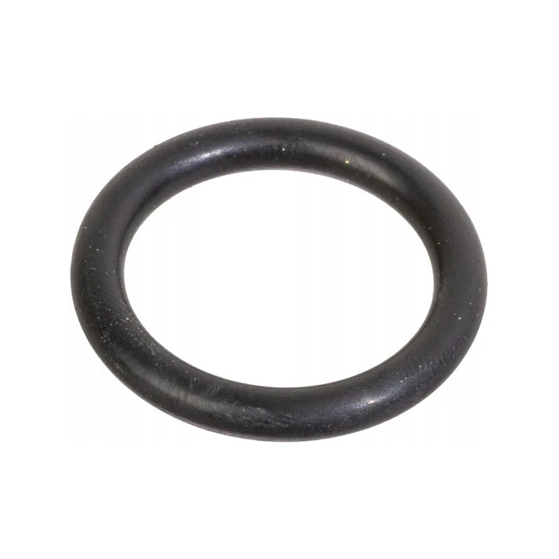 Sealing ring
