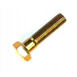 Thermostat screw 5 16x1 1 4