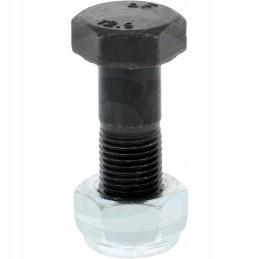 Bolt with nut
