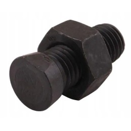 Screw set, oval, cut on one side, M14x