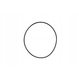 3751277 o-ring 79x2 mm