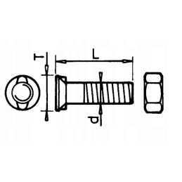 Double-nose conical screw M11x30 for gb