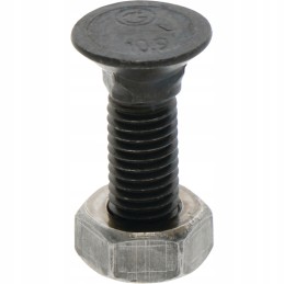 Plug screw with nut M10 x 30 10 9 1801030810