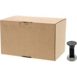 Plug screw with nut M10 x 30 10 9 1801030810