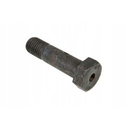 3014604 6-point special screw M20 x 75 mm