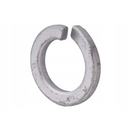 3059889 spring washer