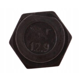 Screw set, oval, cut on one side, M14x