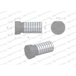 Screw set, oval, cut on one side, M14x