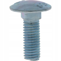 Lemken mushroom head screw m10 x 30 din603 30