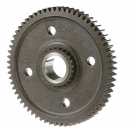 Case gear wheel 5196857