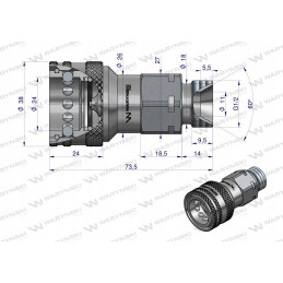 Hydraulic quick connector g1 2 bsp socket
