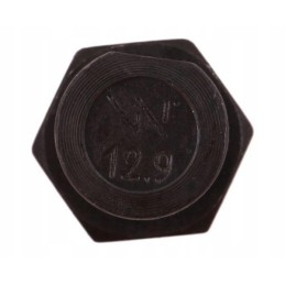 Pluzna screw oval 14x34 mm Kverneland Warynski 25x