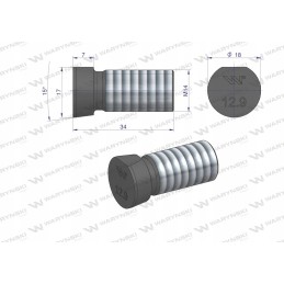 Pluzna screw oval 14x34 mm Kverneland Warynski 25x