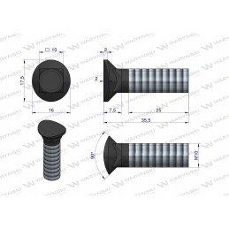 Polo-round coulter screw M10x35 8 8 Warynski