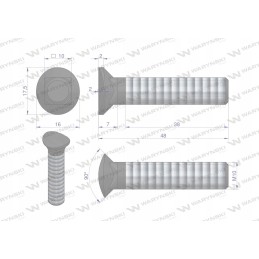 Half-round coulter screw set m10x48 mm, class 8-8