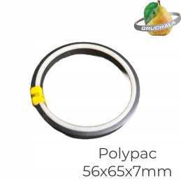 Polycpac balsele b 255216 1 seal 56x65x7