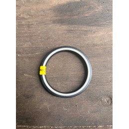 Polycpac balsele b 255216 1 seal 56x65x7