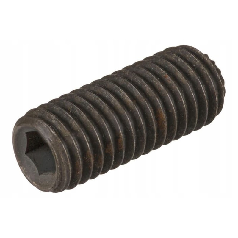 300483 set screw M10x25
