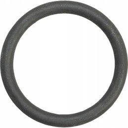 Sealing ring