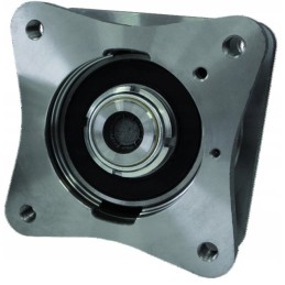 Shaft bearing h42 original maschio m43400467r