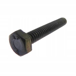 Tensioner bracket bolt