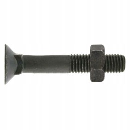 Plug screw with nut M10x1 5x40 10 9 din 608