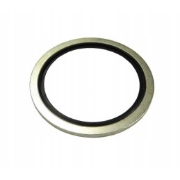 Metal and rubber washer with guide BSP 3 8