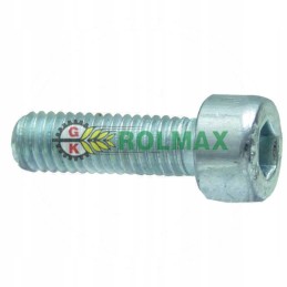 Screw with 6-point socket 00370494 for horsch