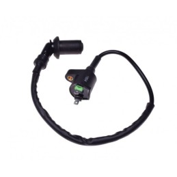 Ignition coil caper 4t zle2011
